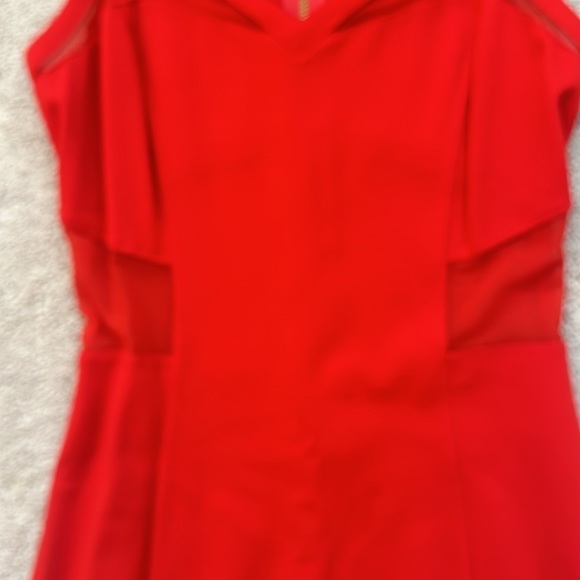 Express Dress - Picture 3 of 6